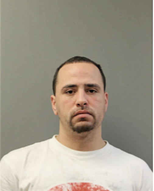 LUIS A ALBINO, Cook County, Illinois
