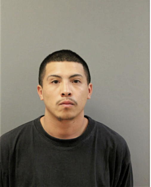 RUEBEN D CASTRO, Cook County, Illinois