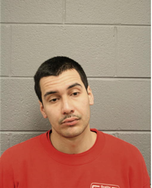 EDNER FLORES, Cook County, Illinois