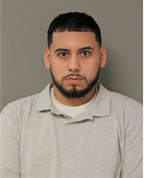 JOSE D FLORES, Cook County, Illinois