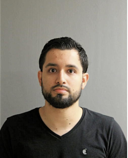 LUIS ALBLERTO FLORES, Cook County, Illinois