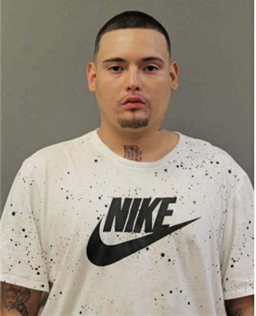 LUIS M HERNANDEZ, Cook County, Illinois