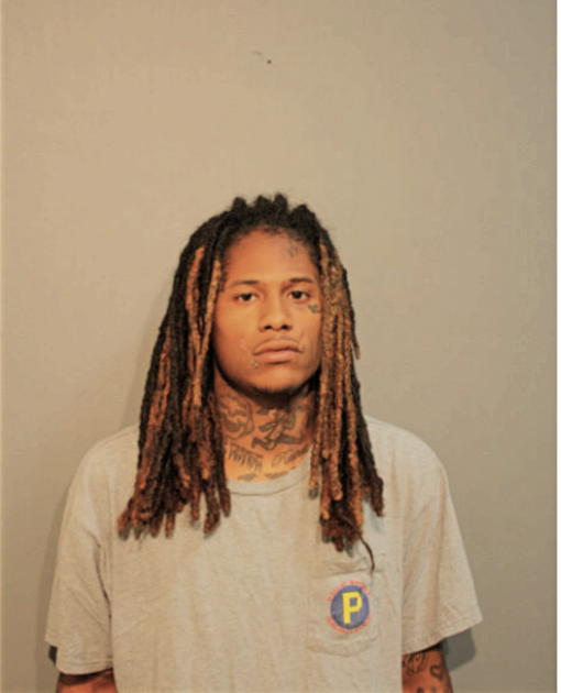 TYLER L WASP, Cook County, Illinois