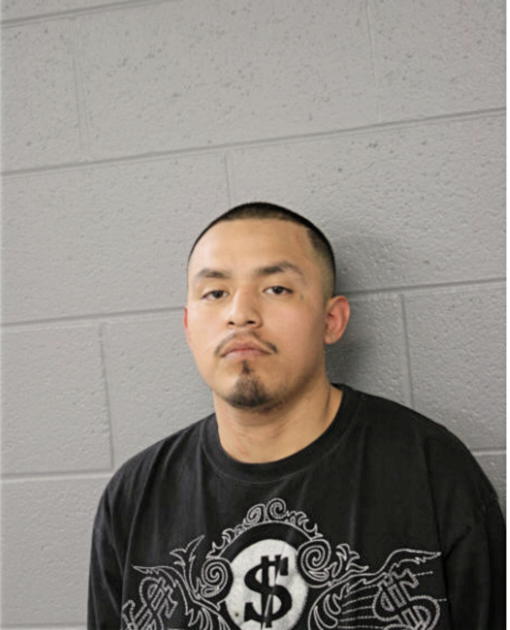ALBERTO MARTINEZ, Cook County, Illinois