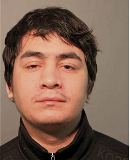 DAVID J MERCADO, Cook County, Illinois