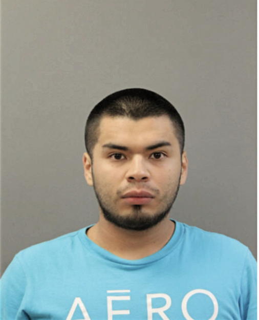 EFREN G MORALES, Cook County, Illinois