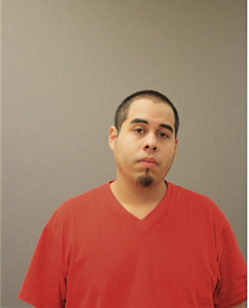 JORGE L MORENO, Cook County, Illinois