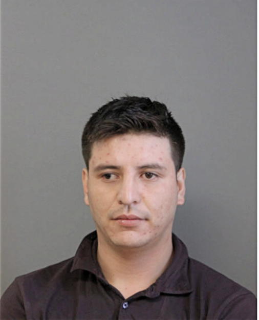 LUIS ANTONIO OCHOA DUMAN, Cook County, Illinois