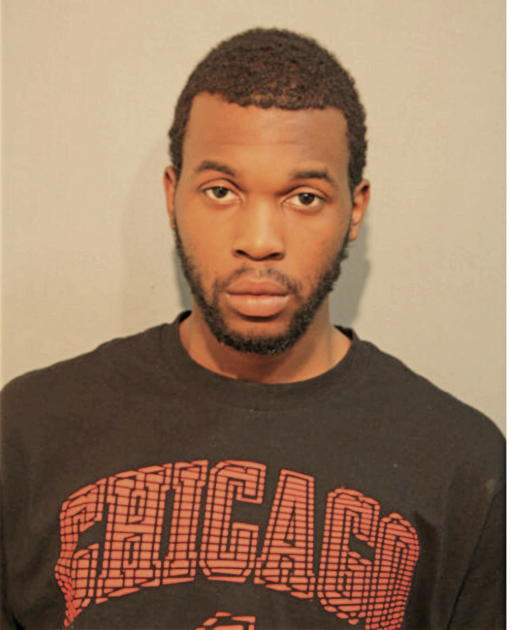 CHRISTOPHER D PALMER, Cook County, Illinois