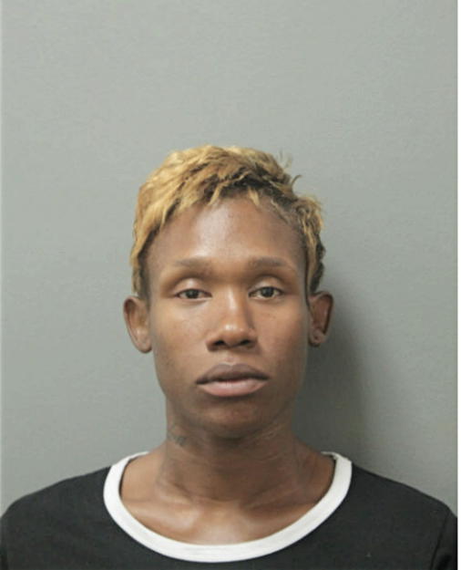 DANIELLE D PEARSON, Cook County, Illinois