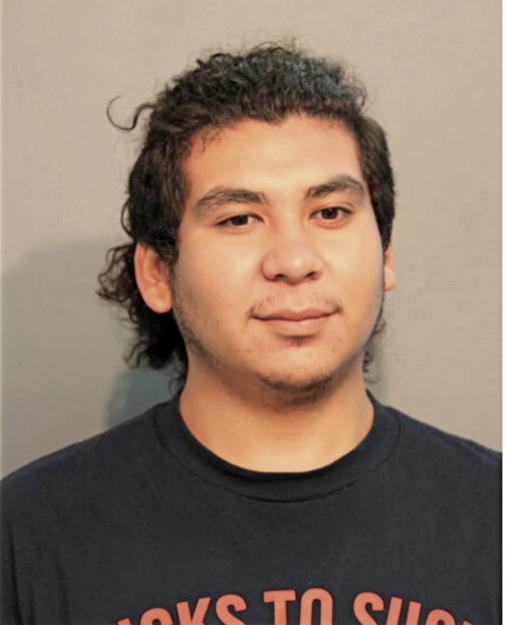 RAFAEL A PEREZ, Cook County, Illinois