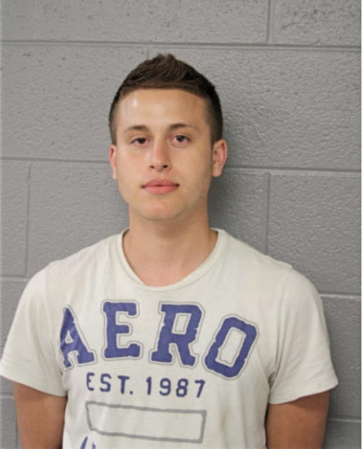 BLAKE M REYES, Cook County, Illinois