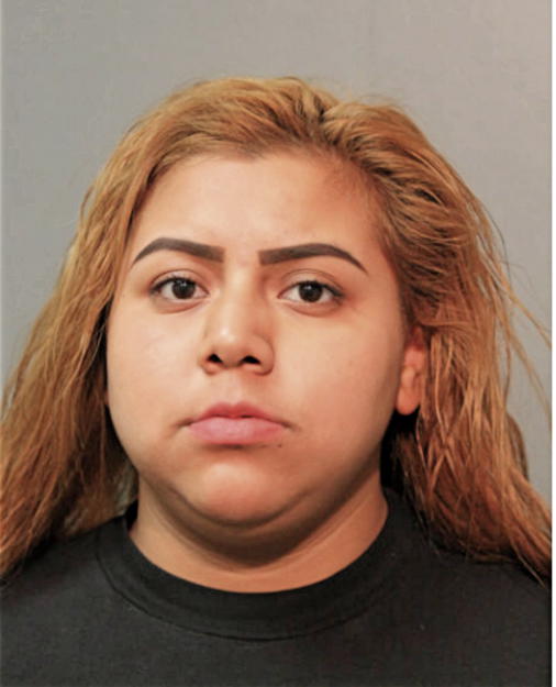 ERICA J ROSAYNES, Cook County, Illinois