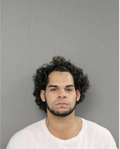 ANTHONY I SANCHEZ, Cook County, Illinois