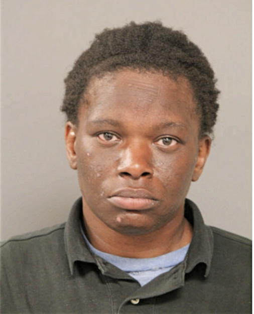 MONIQUE L WHITE, Cook County, Illinois