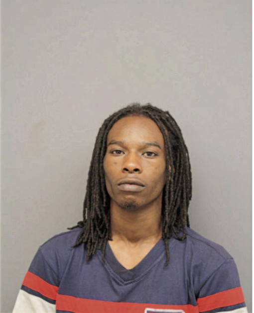 STEVEN E WILLIAMS, Cook County, Illinois