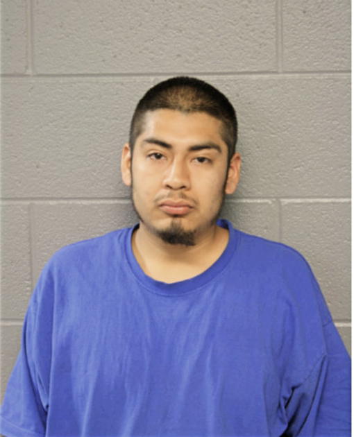 EDUARDO ALEMAN, Cook County, Illinois