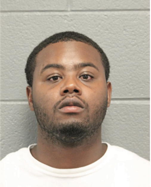 ERIC T ANDERSON, Cook County, Illinois