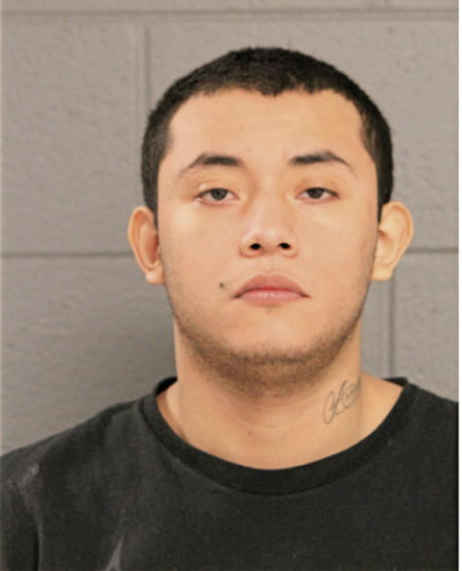 NATHAN BARRERA, Cook County, Illinois