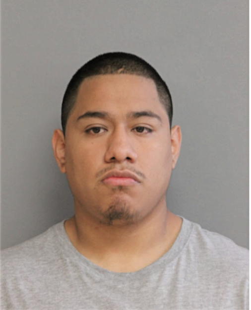 SANTIAGO CASTANEDA, Cook County, Illinois