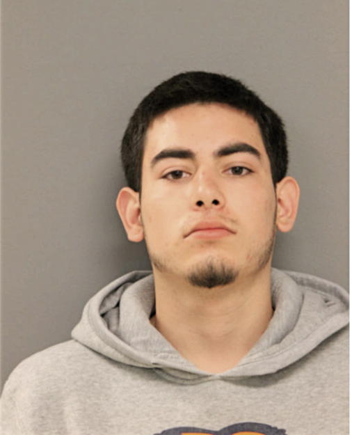 MARTIN D CASTILLO, Cook County, Illinois
