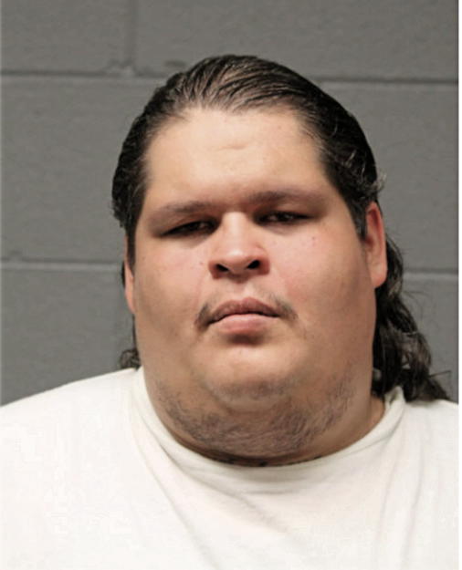 CHRISTOPHER J CRUZ, Cook County, Illinois