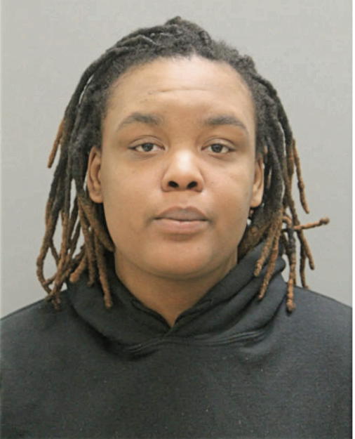 ROSLAND S DUNN, Cook County, Illinois