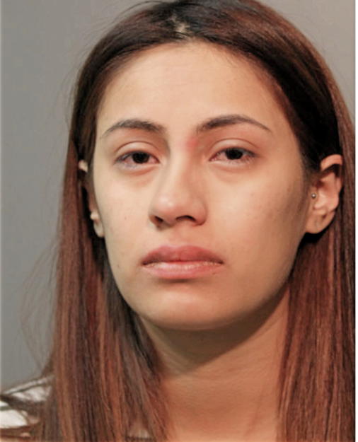 JANET FLORES, Cook County, Illinois