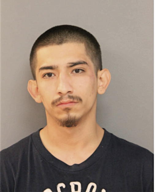 JULIO C FLORES, Cook County, Illinois