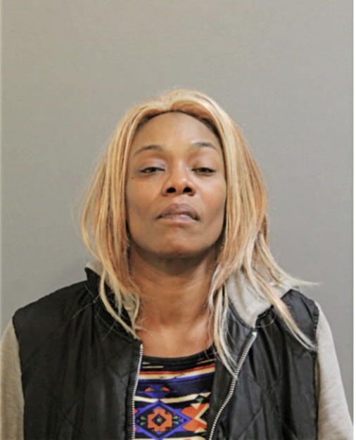 DONETTA D FORD, Cook County, Illinois
