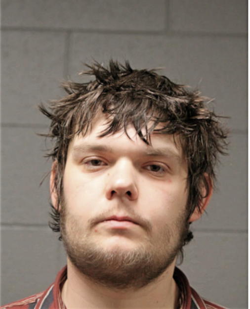 MAXIM GANZENKO, Cook County, Illinois
