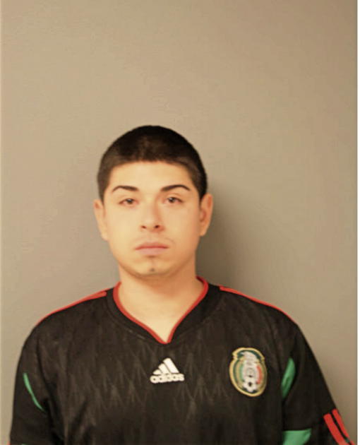 ANDY GARCIA, Cook County, Illinois