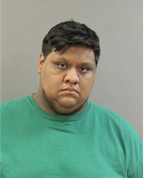 JOSE A GONZALEZ-GONZALEZ, Cook County, Illinois