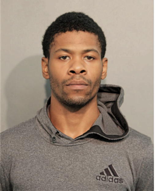 MICHAEL D HALL, Cook County, Illinois