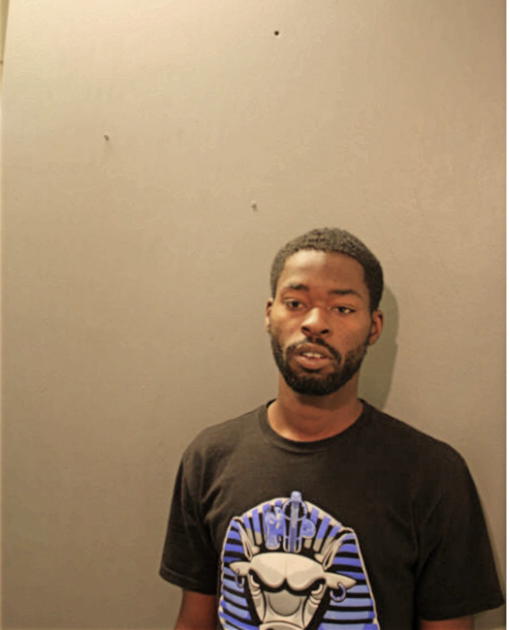 SEAN D HENDERSON, Cook County, Illinois