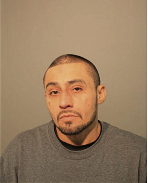 JESUS A HERNANDEZ, Cook County, Illinois