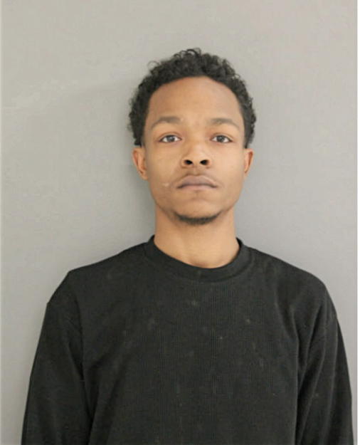 RYAN H JOHNSON, Cook County, Illinois