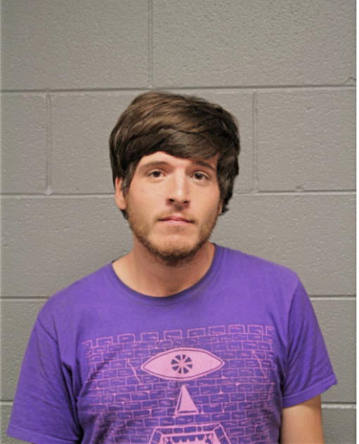 KRISTOFFER J LEWIS, Cook County, Illinois