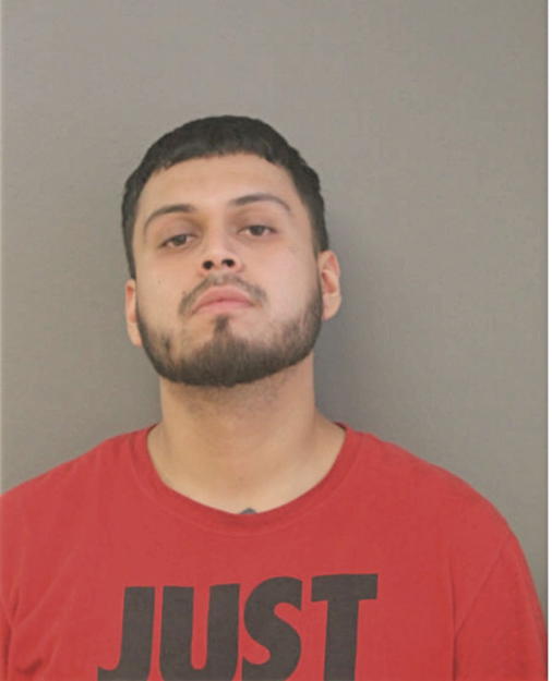 JAVIER A LLANAS, Cook County, Illinois