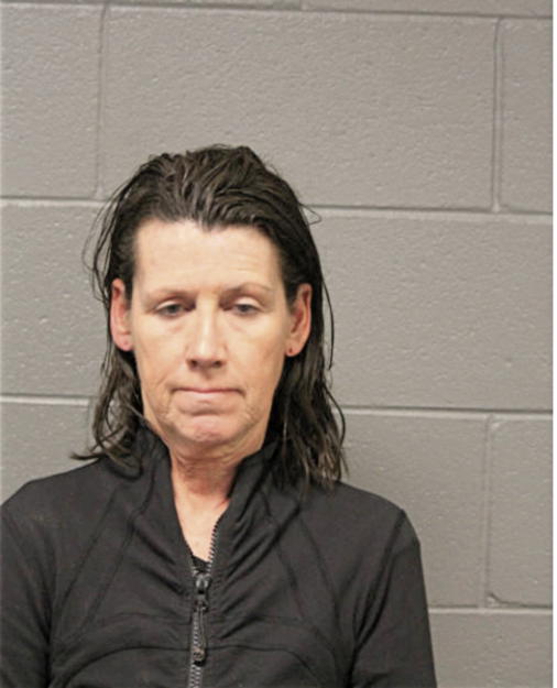 SUSAN M MCWILLIAMS, Cook County, Illinois