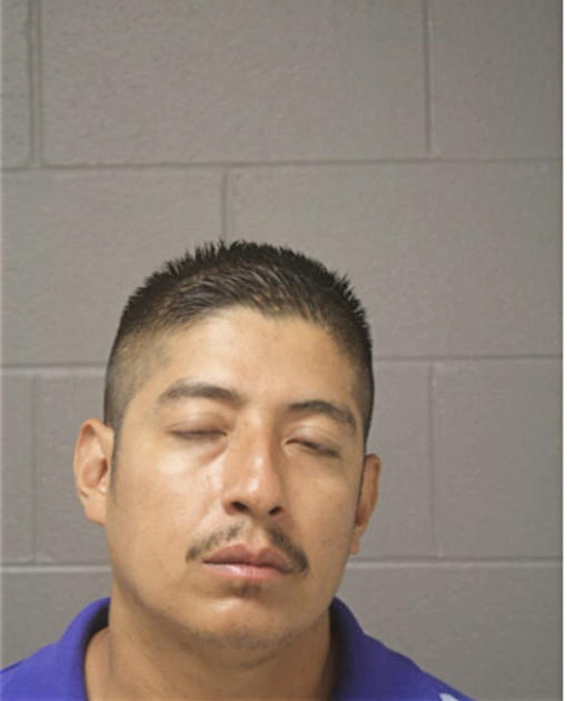 OCTAVIANO ORTIZ, Cook County, Illinois