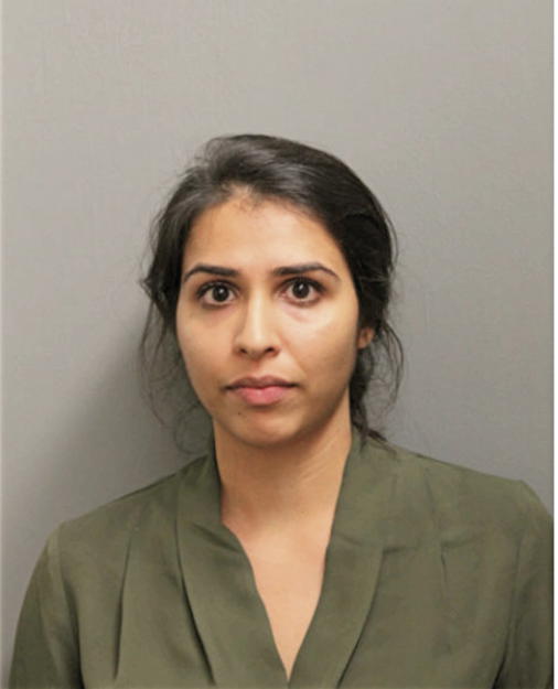 PUJA H PATEL, Cook County, Illinois