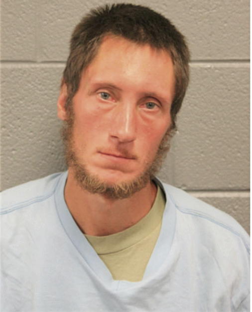 BRANDON L PIATKIEWICZ, Cook County, Illinois