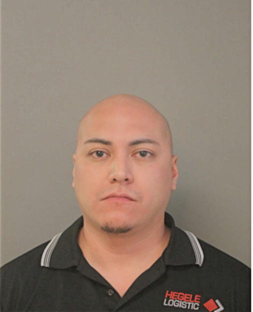 DIEGO RAMOS, Cook County, Illinois