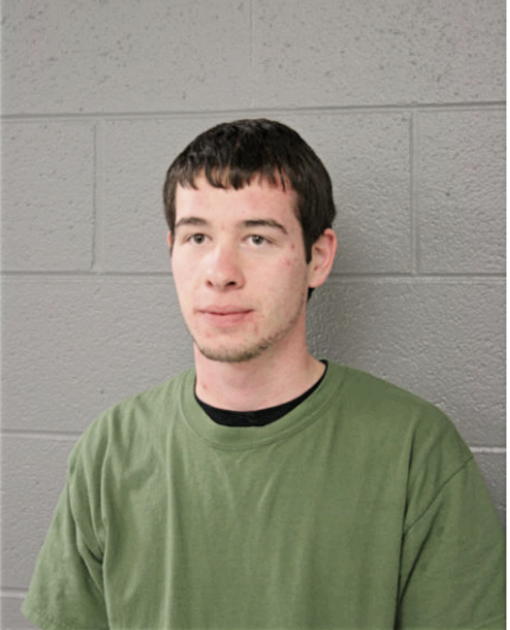 ALEX J REAMER, Cook County, Illinois