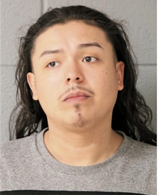 DANIEL REYNA, Cook County, Illinois