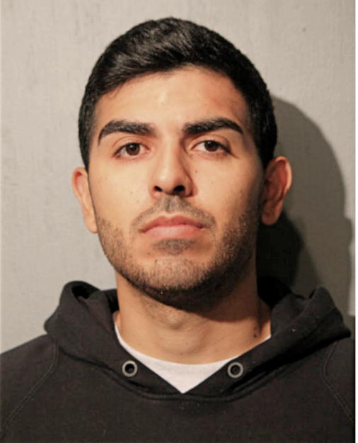 NICOLAS J ROBLES, Cook County, Illinois