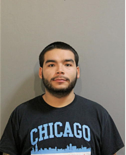 ENRIQUE S RODRIGUEZ, Cook County, Illinois