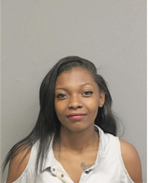 ARSHANA N VANTRESE, Cook County, Illinois