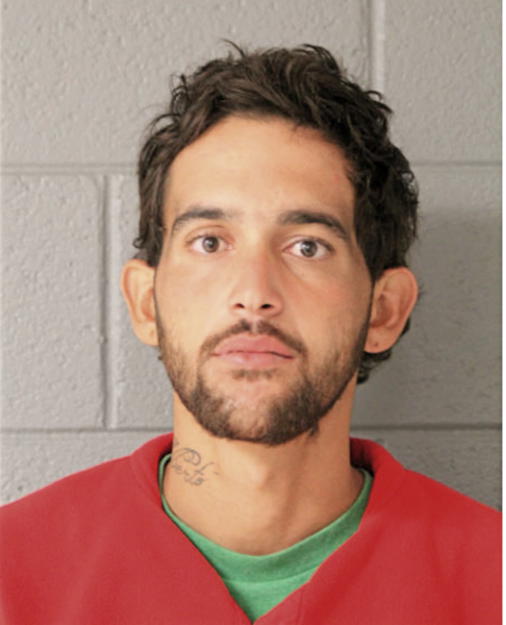 RAUL A VEGA-TORRES, Cook County, Illinois